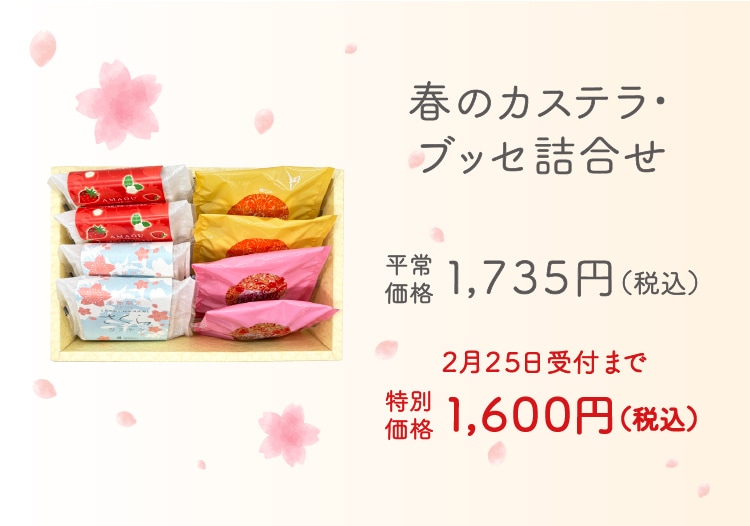【送料込】春のカステラ・ブッセ詰め合わせ