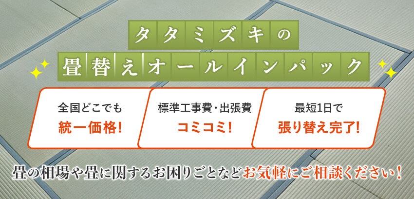 インテリアメーカーイケヒコ公式通販 い草 畳 こたつ ラグ カーペット