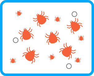 ダニのメカリズム画像2