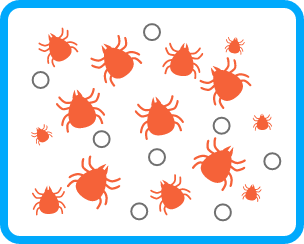 ダニのメカリズム画像3