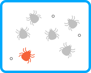 滅ダニシートありのメカリズム画像3