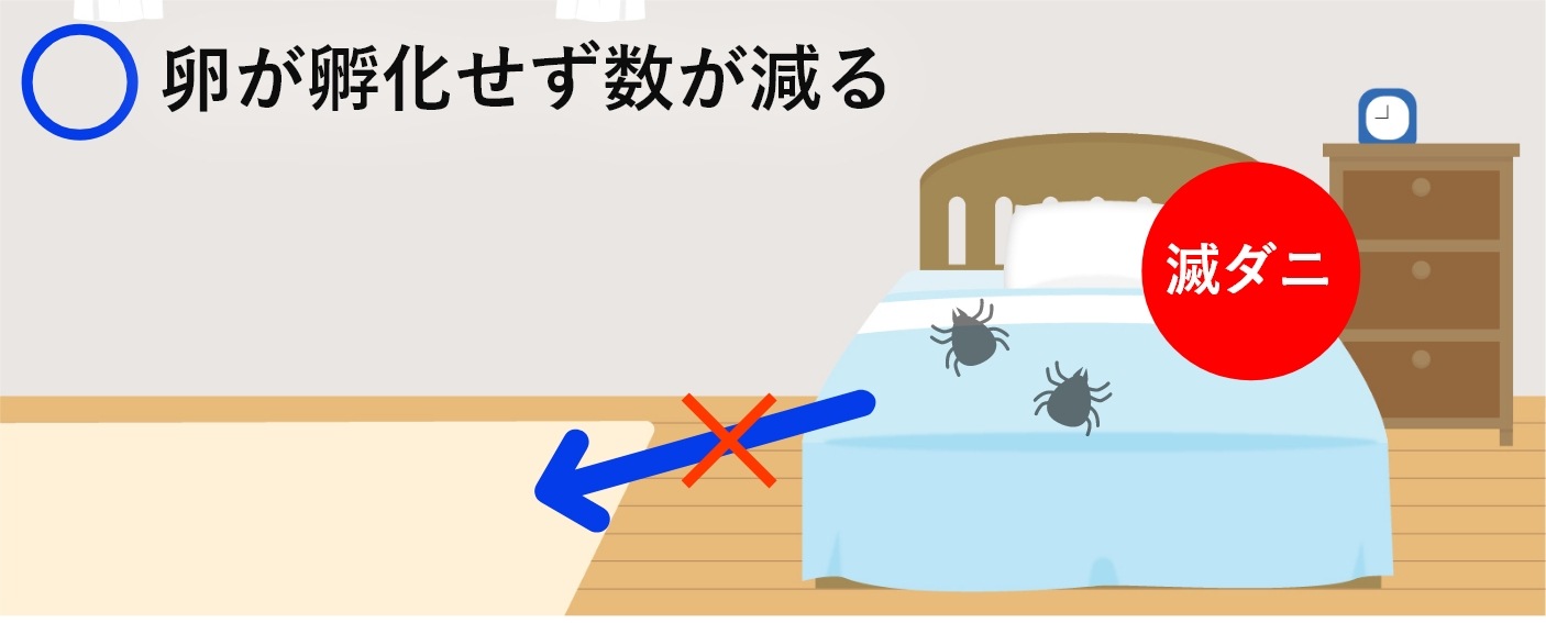 卵が孵化せず繁殖しない画像