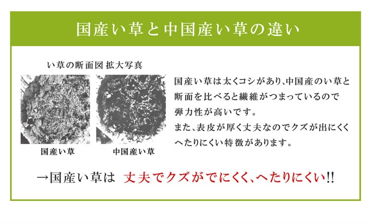 い草の40mmマットもっと親父の場所について