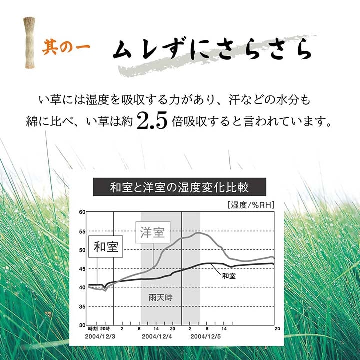 日本製 「 侍 い草マット 」サイズ：約70×150cm