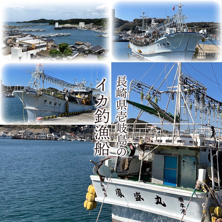 壱岐島のイカ釣船イメージ