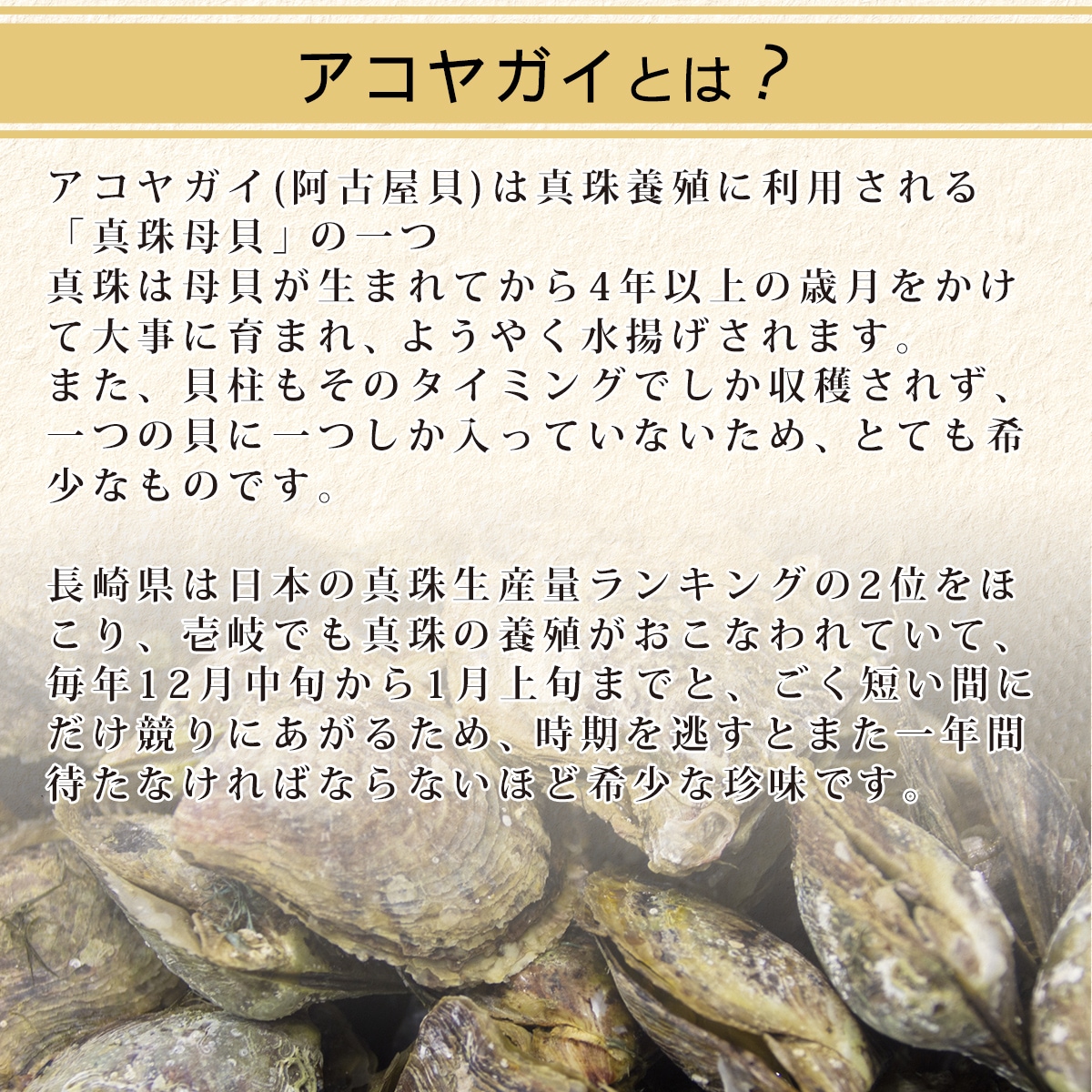 長崎県壱岐産　養殖アコヤガイの貝柱 