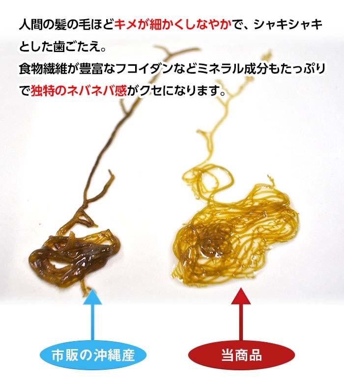 食物繊維が豊富なフコイダンなどミネラル成分もたっぷり