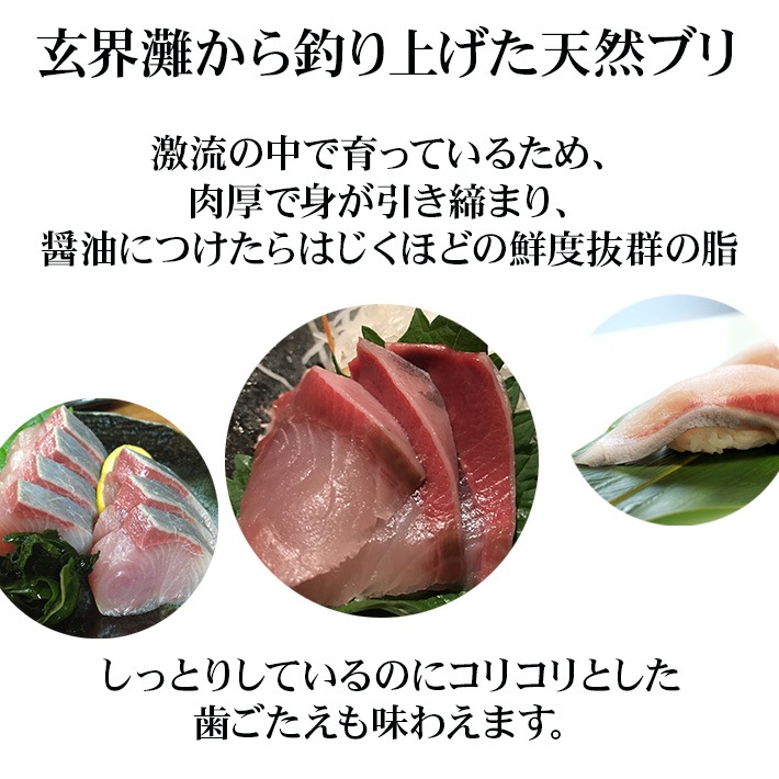 長崎県壱岐島の鮮魚 天然ブリの通販は壱岐net Shop壱岐のたから
