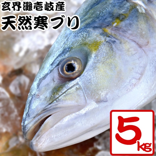 玄界灘壱岐産天然寒ブリ5キロサイズ 一本もの 壱岐net Shop壱岐のたから