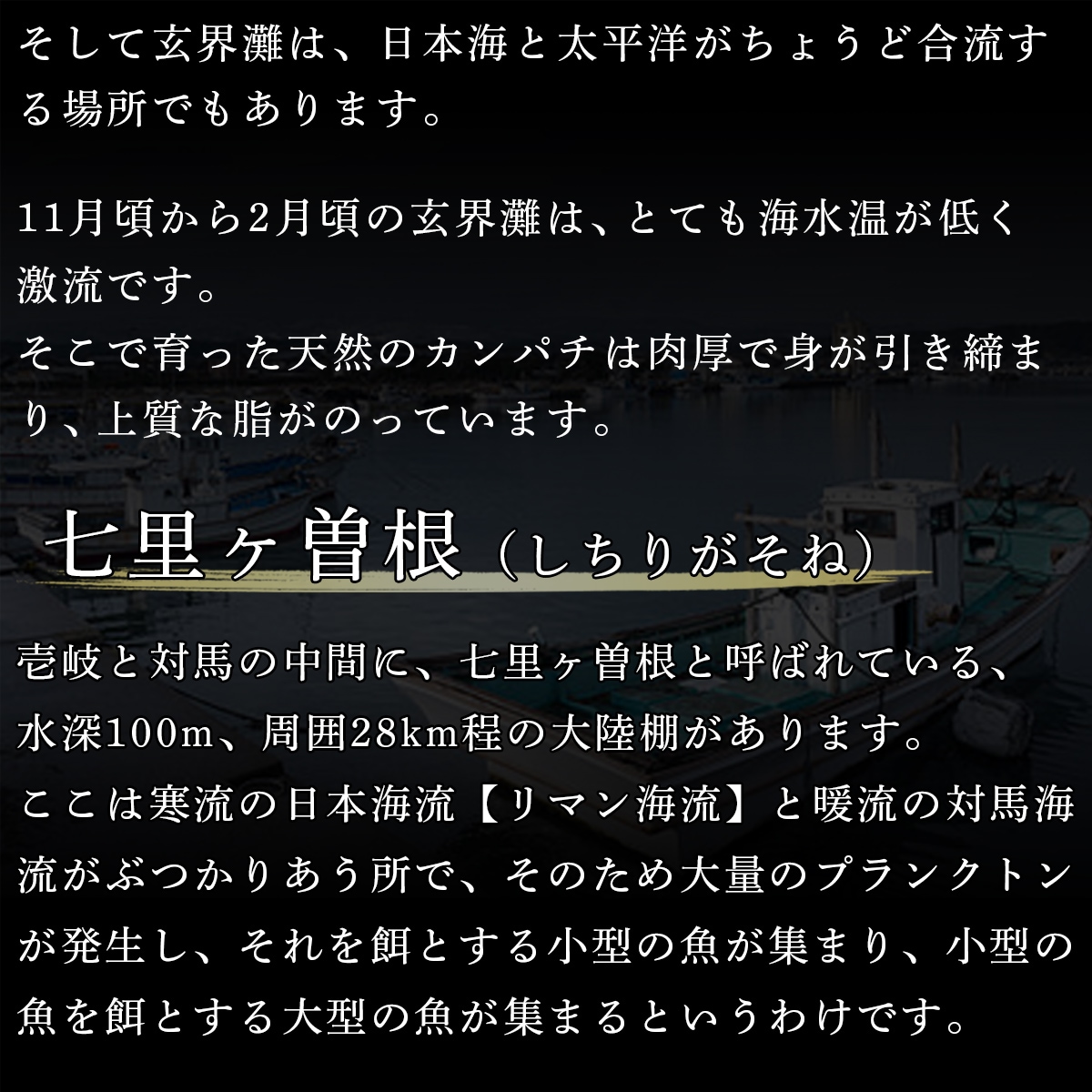 11月頃から2月頃の玄界灘は、とても海水温が低く激流です