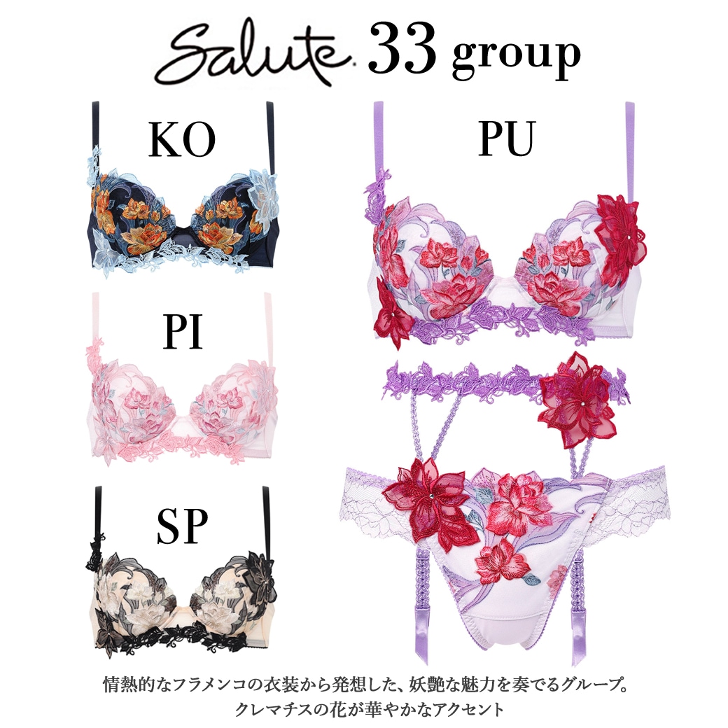 サルート33シリーズ