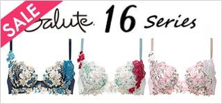 サルート16シリーズ