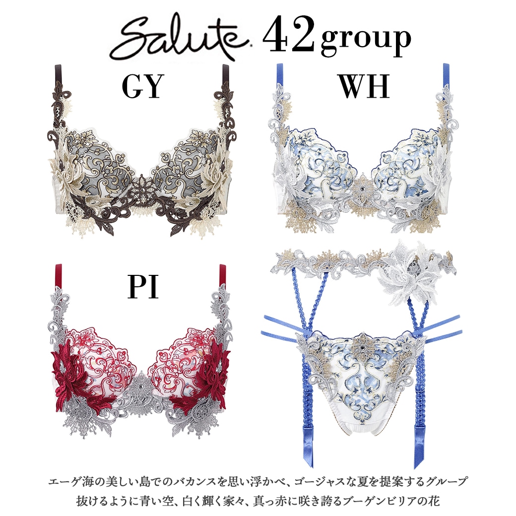 サルート42シリーズ