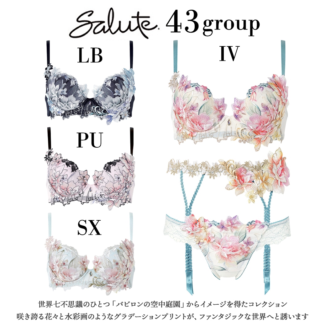 サルート43シリーズ