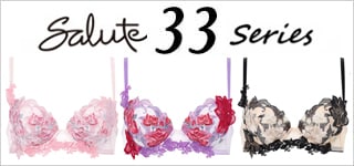 サルート33シリーズ