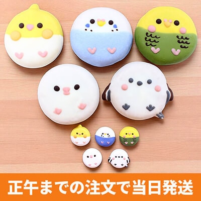 ガチャコンプリート鳥ドーナツセット（5個入り） カプセルトイ5種類