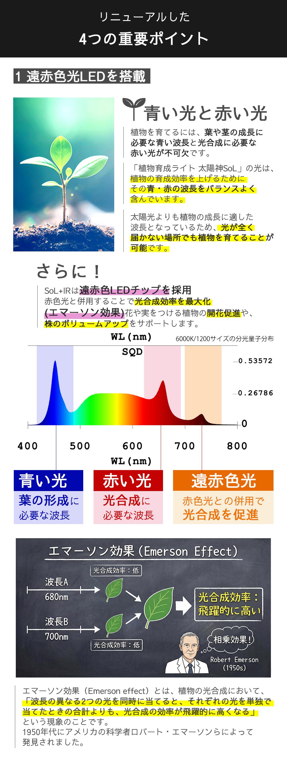 白色（4000K）と昼光色（6000K）の選べる2つのカラー
