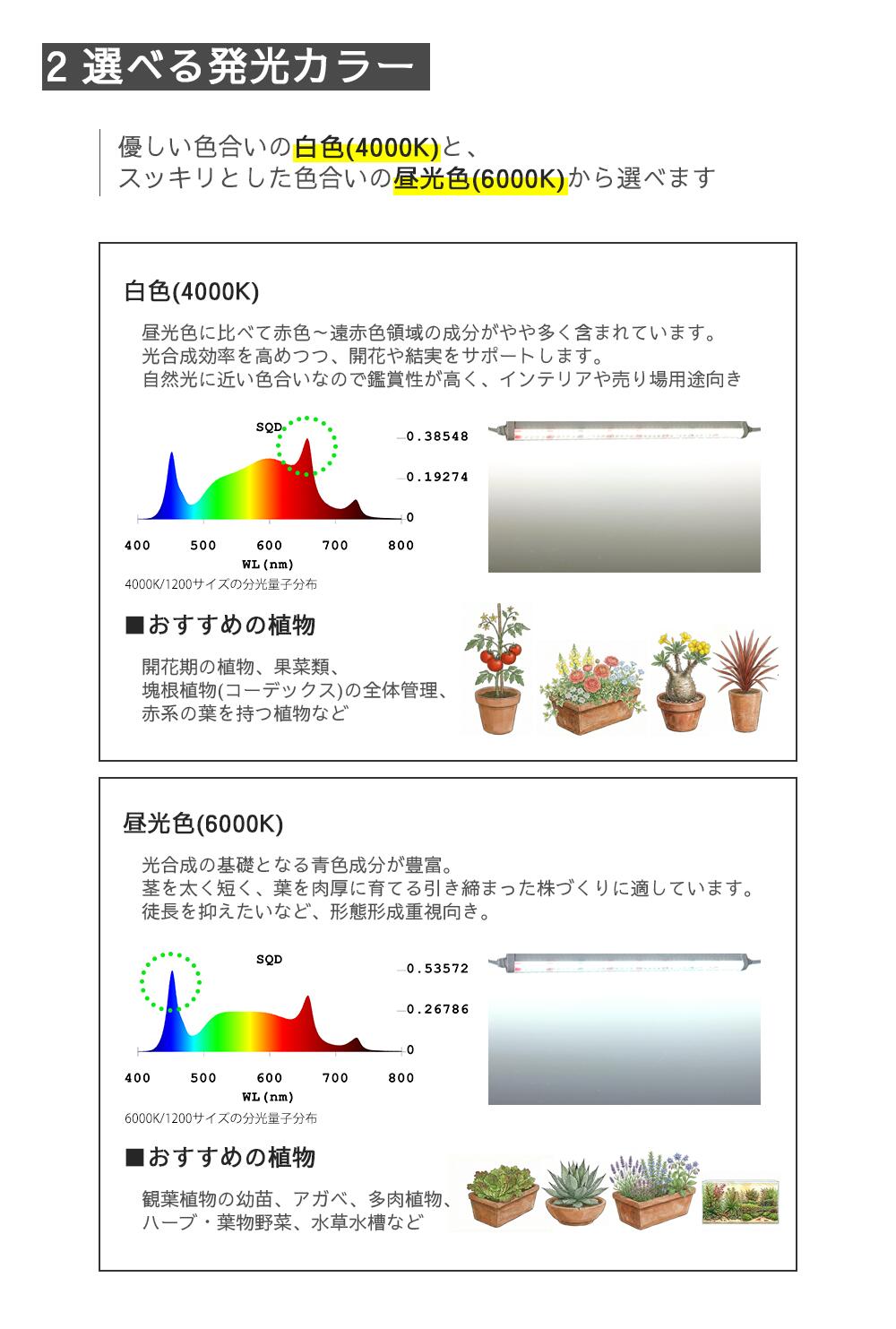 取り付けは簡単・設置方法のご紹介