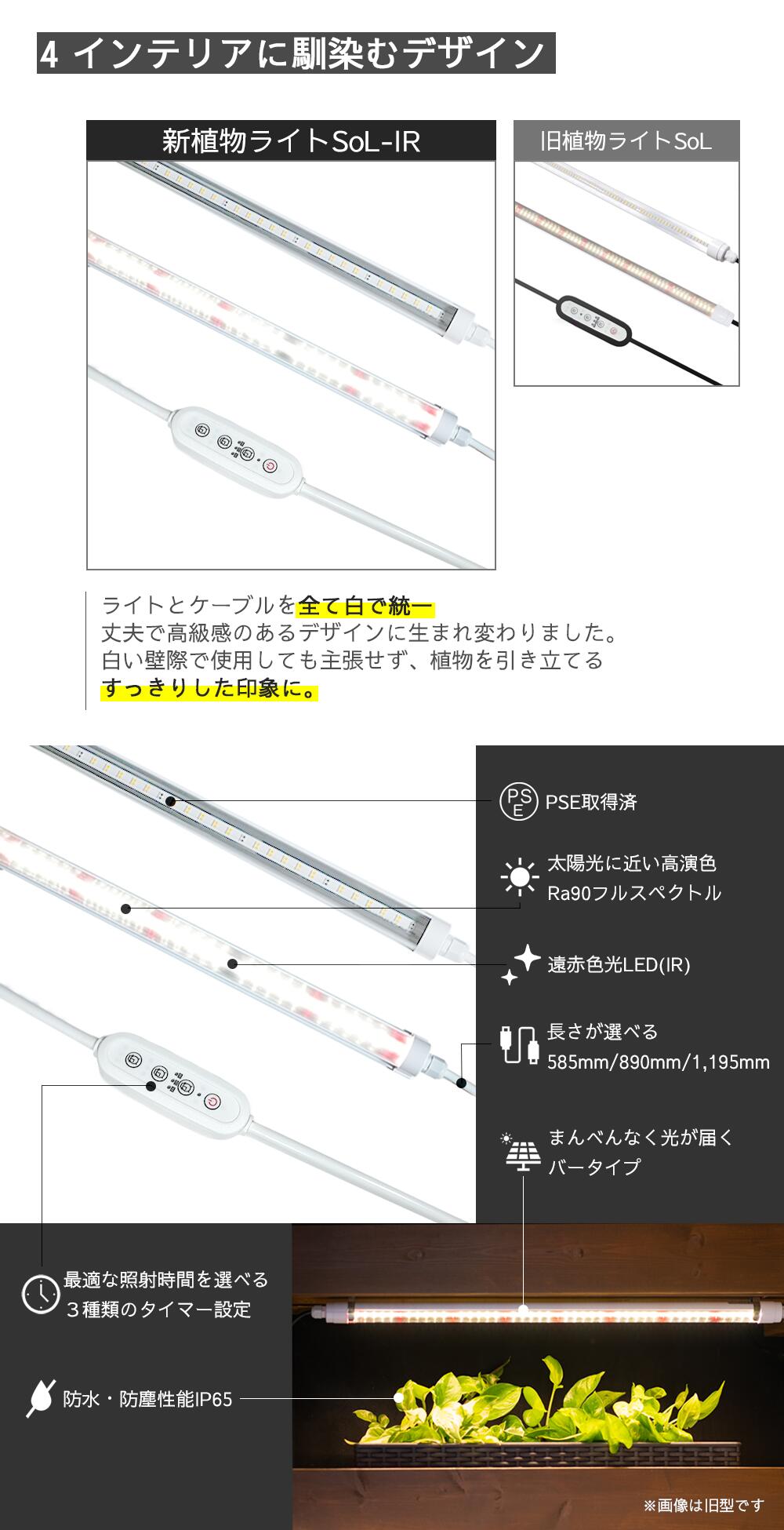 植物の成長比較・効果のイメージ