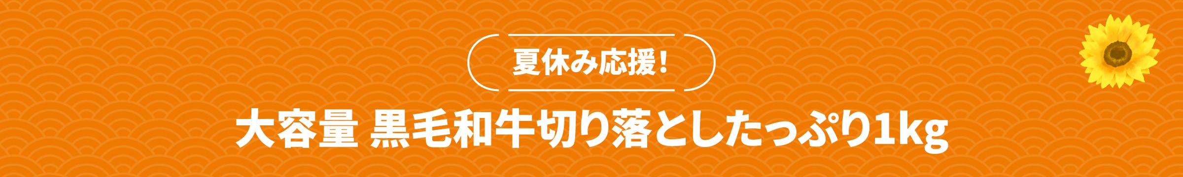 ご自宅向けおトクな限定商品