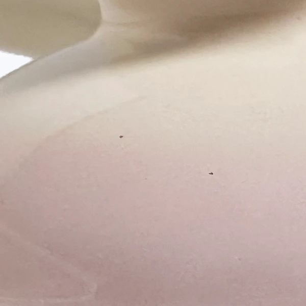 炉内の粉塵の付着の黒点画像