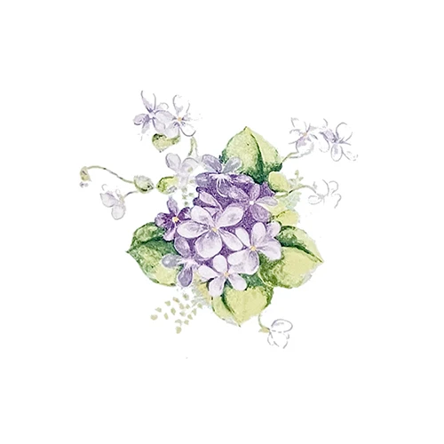 スミレシリーズ