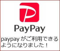 paypayサイドバナー