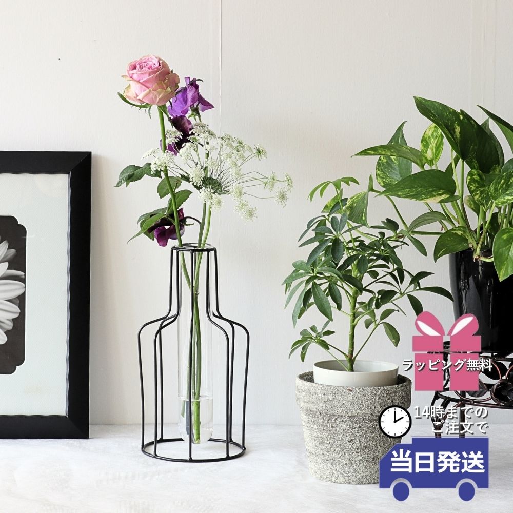 14���ޤǤΤ���ʸ������ȯ��