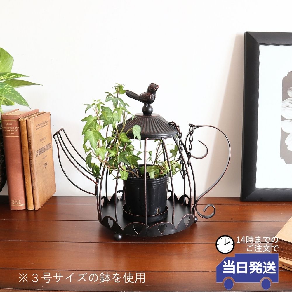 14���ޤǤΤ���ʸ������ȯ��