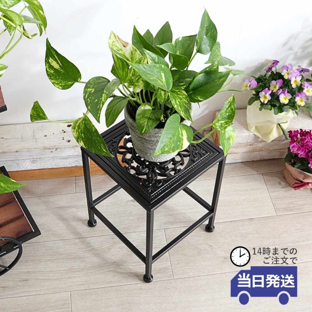 14���ޤǤΤ���ʸ������ȯ��