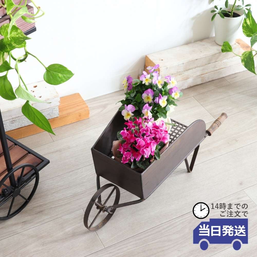 14���ޤǤΤ���ʸ������ȯ��