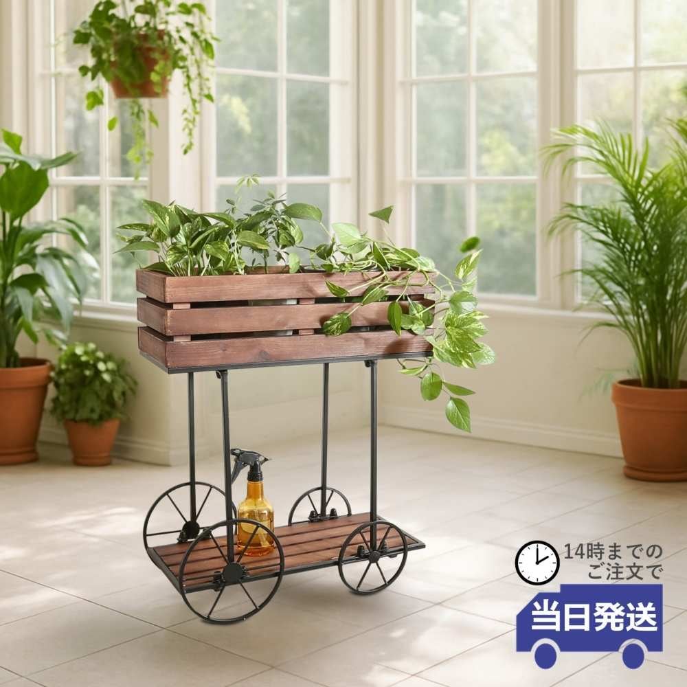 14���ޤǤΤ���ʸ������ȯ��