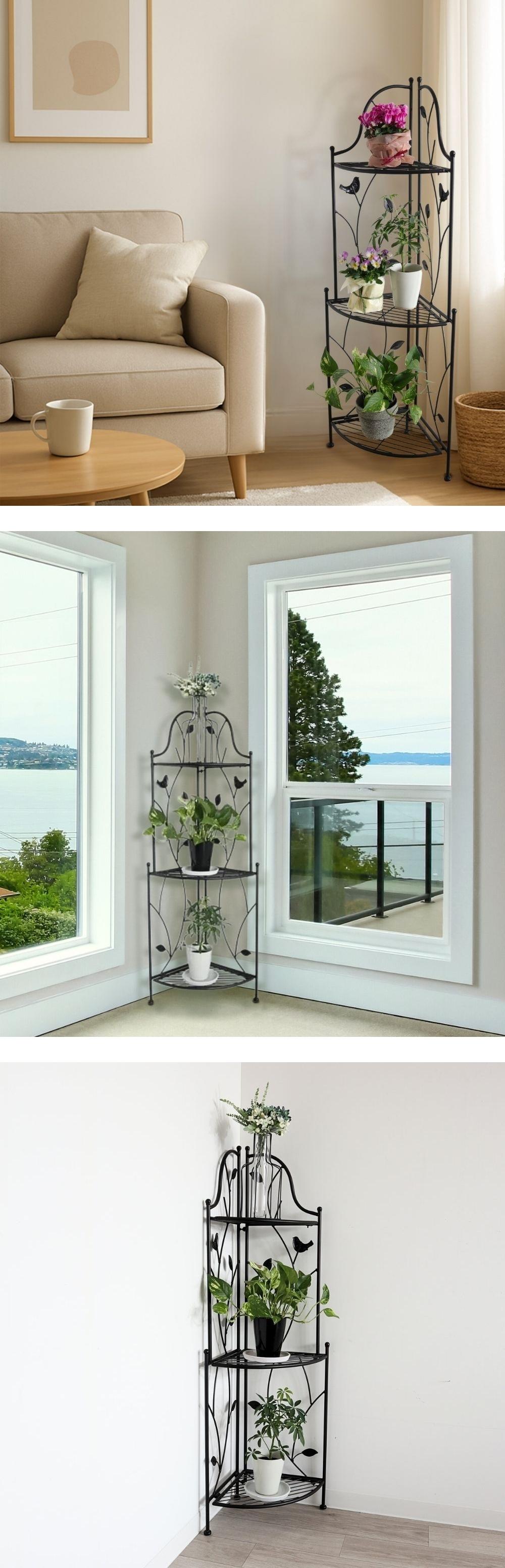 ���֥��᡼��