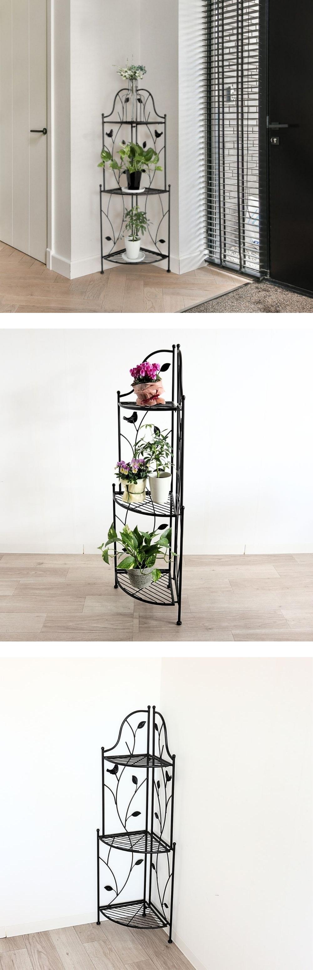 ���֥��᡼��