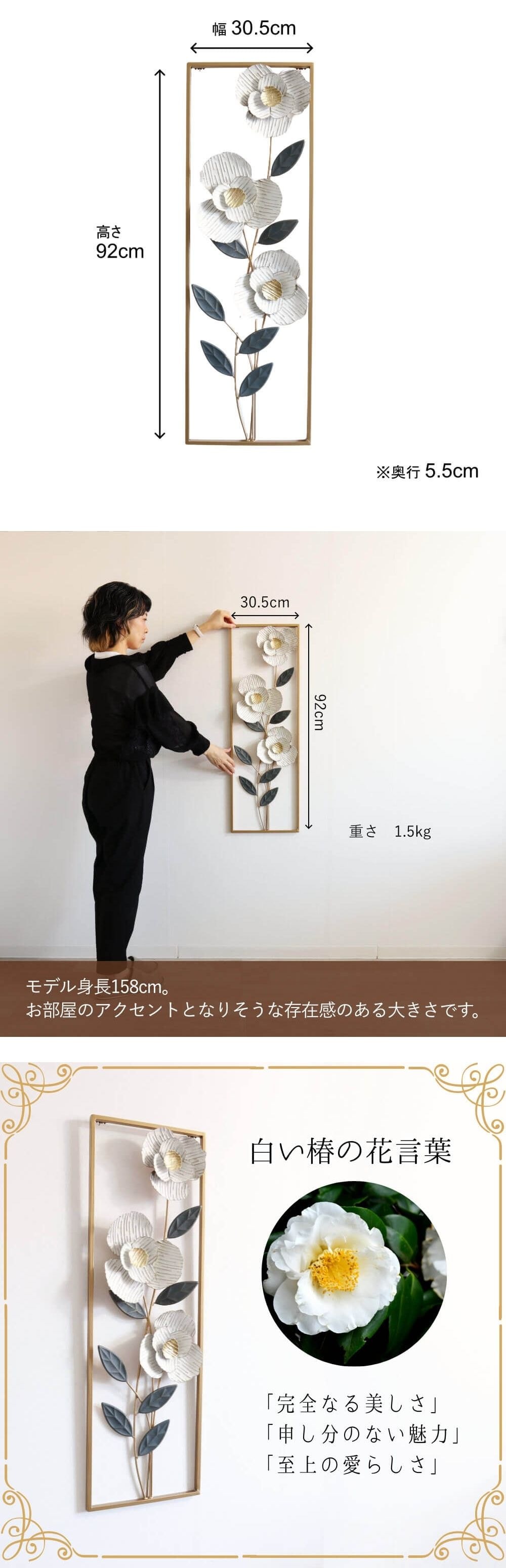 ���ʥ��������ܺ�