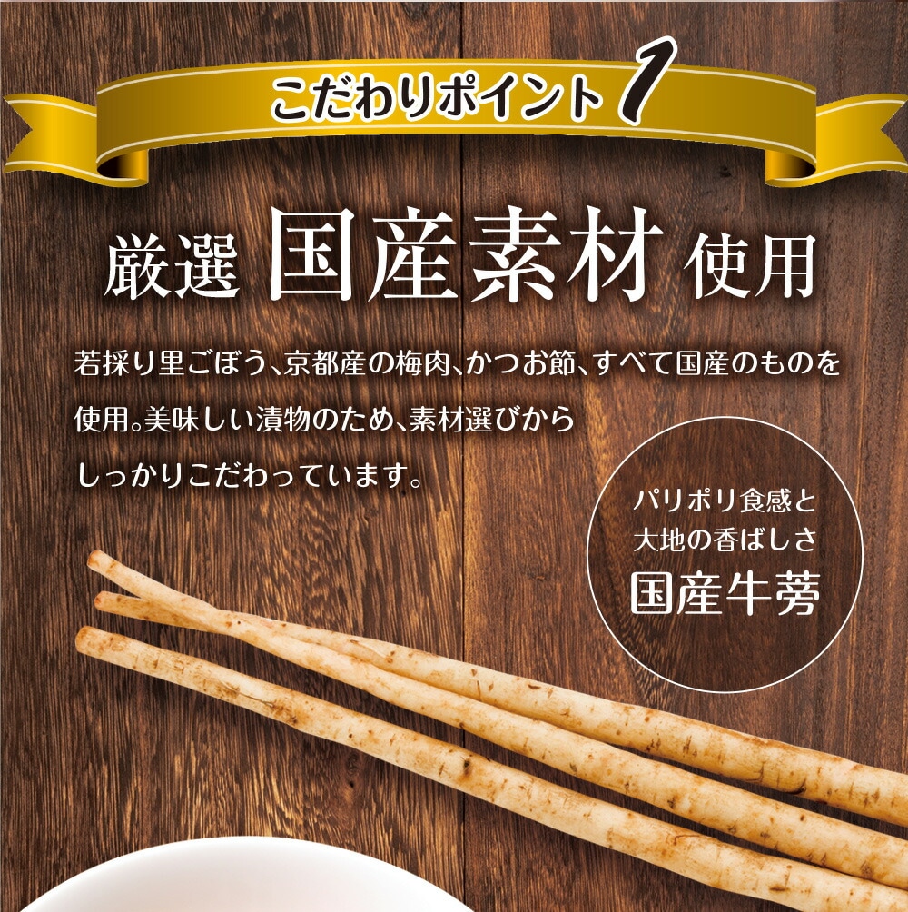 国産若採りごぼう 梅肉あえ 120g 2袋セット 漬物 漬け物 国産 ギフト メール便