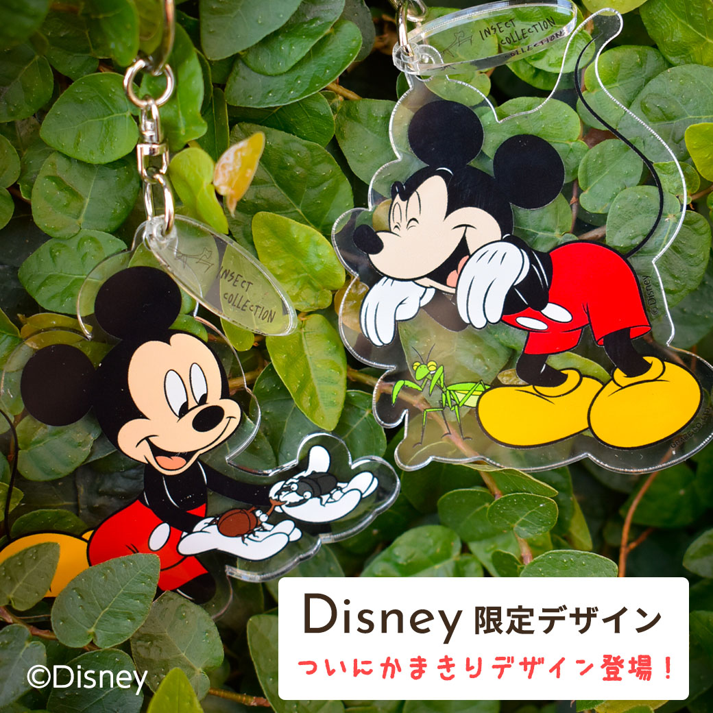 Insect Collection限定 Disneyデザイン