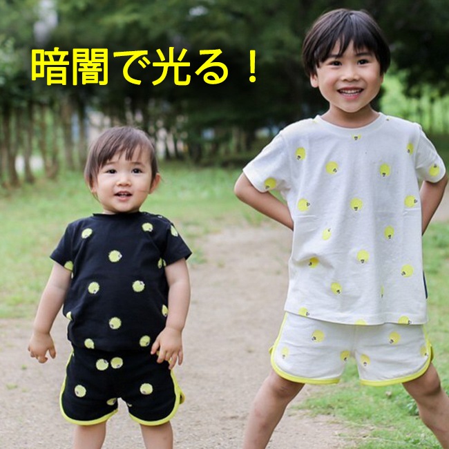 テントウムシ Insect Market インセクトマーケット 香川照之プロデュース昆虫と学びのポータルサイト