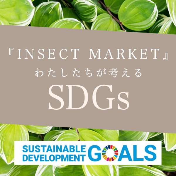 INSECT MARKETͤSDGs