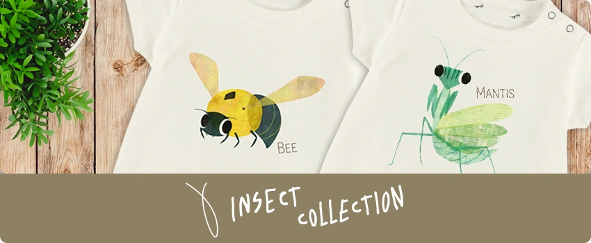 Insect Collection