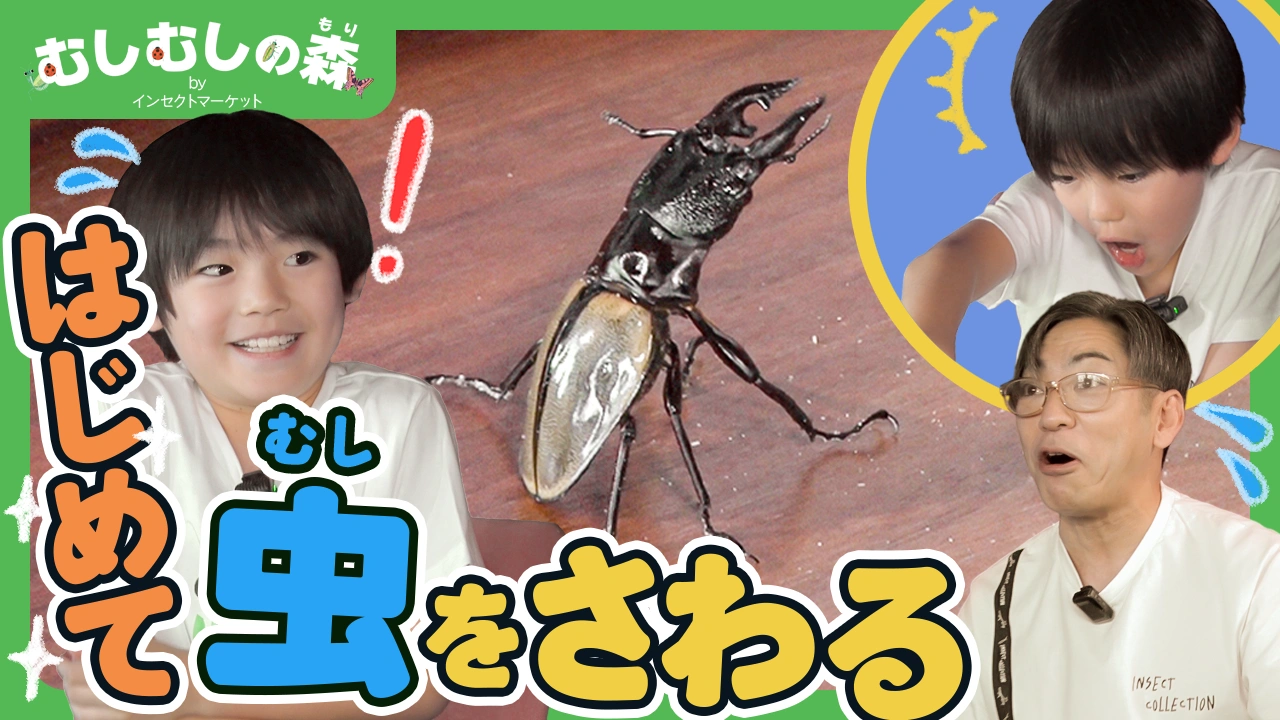 10/24：「はじめてクワガタムシさわってみた！」むしむしの森 