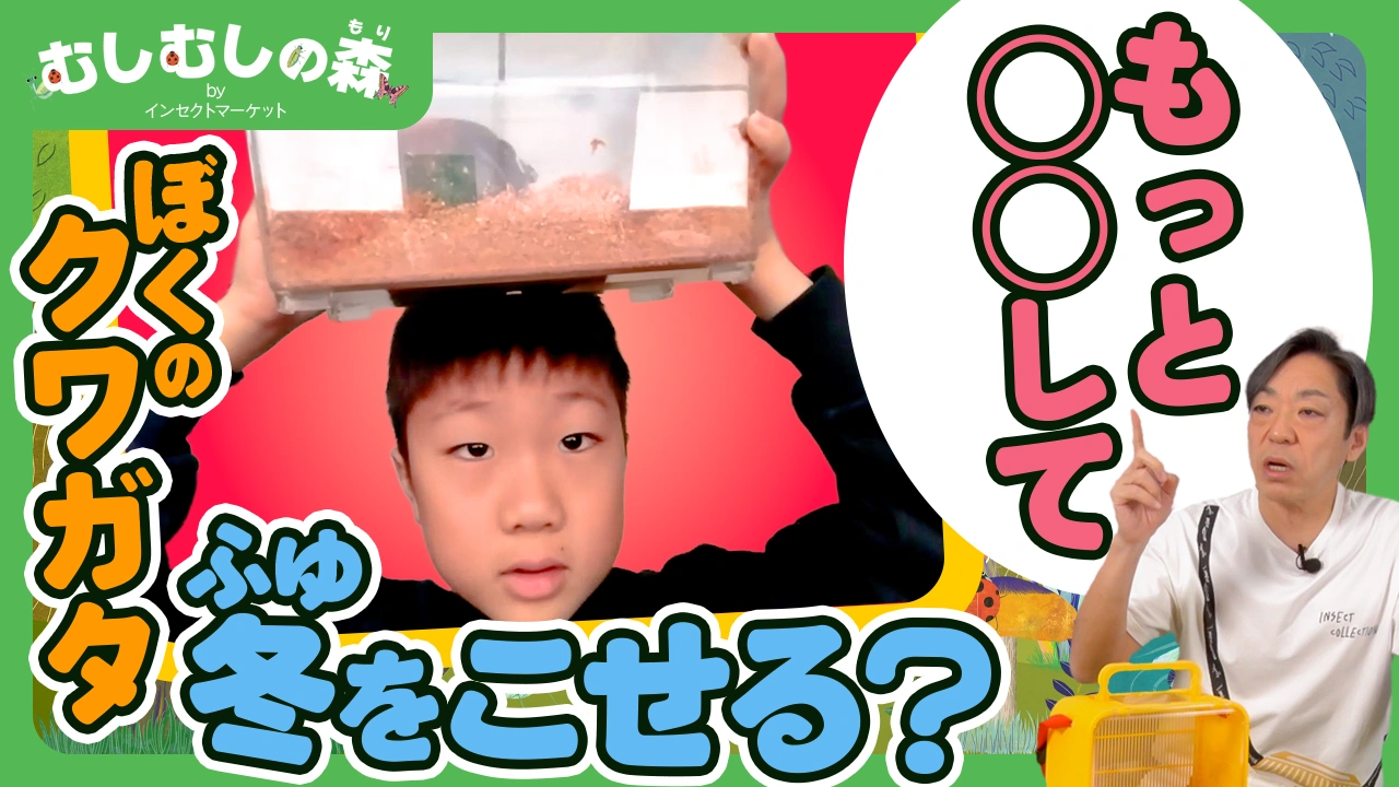 2/6：ぼくのクワガタは冬を越せるの？