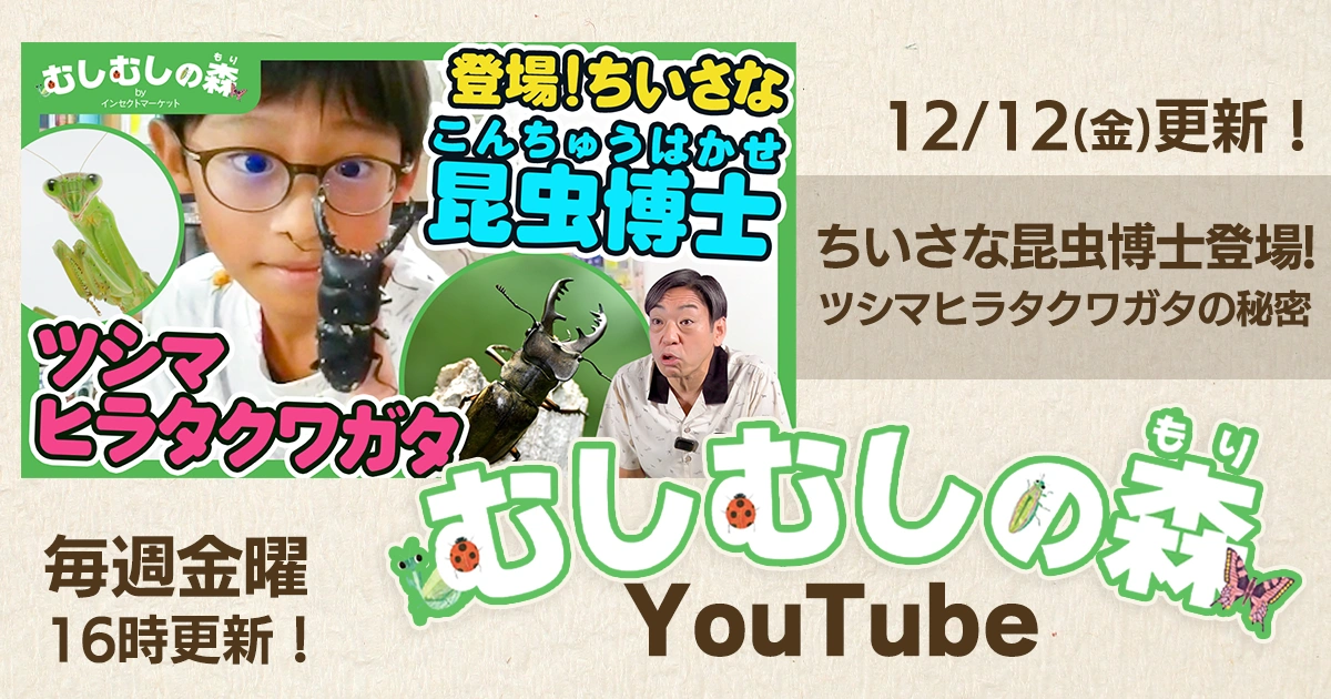 INSECT MARKET- 昆虫と学びのポータルサイト「インセクトマーケット」