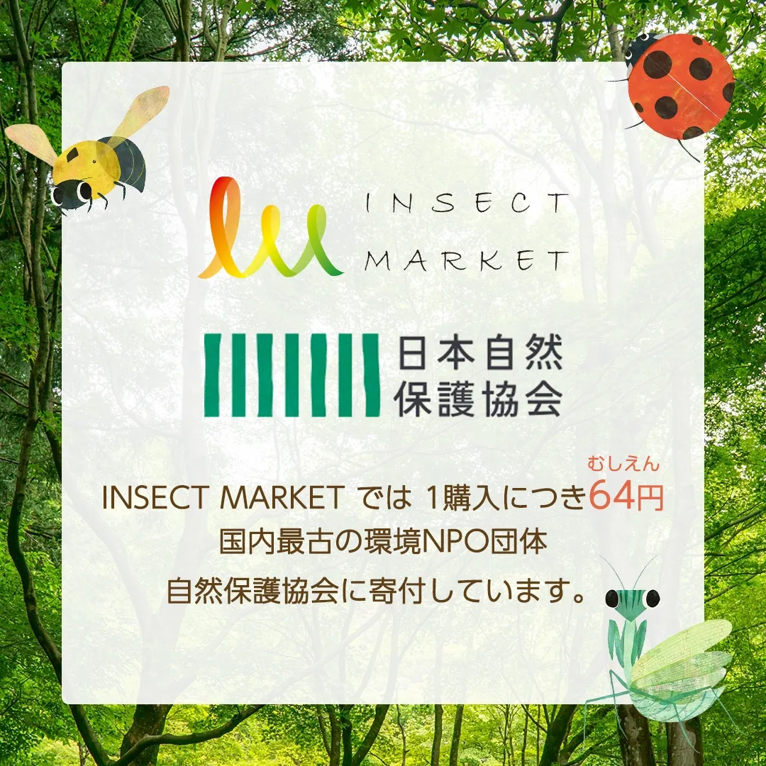 INSECT MARKET- 香川照之プロデュース 昆虫と学びのポータルサイト