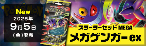 Pokemon card ポケモンカード 旧裏面 第1弾～第4弾 フルコンプ ポケモンカード旧裏 第1弾～第4弾 263枚フルコンプリートセット