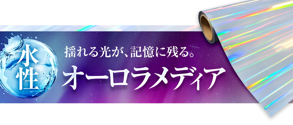 �ɤ������������˻Ĥ롣�ڿ������������ǥ�����