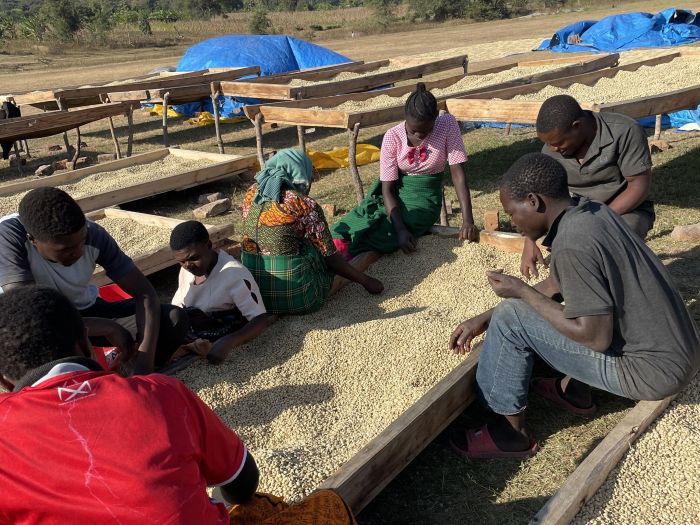タンザニア イガレ 200g＜フレンチロースト＞ | 〔 すっきりしたコク