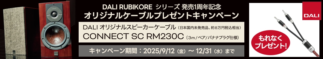 DALI RUBIKORE꡼ȯ1ǯǰ ꥸʥ륱֥ץ쥼ȥڡ