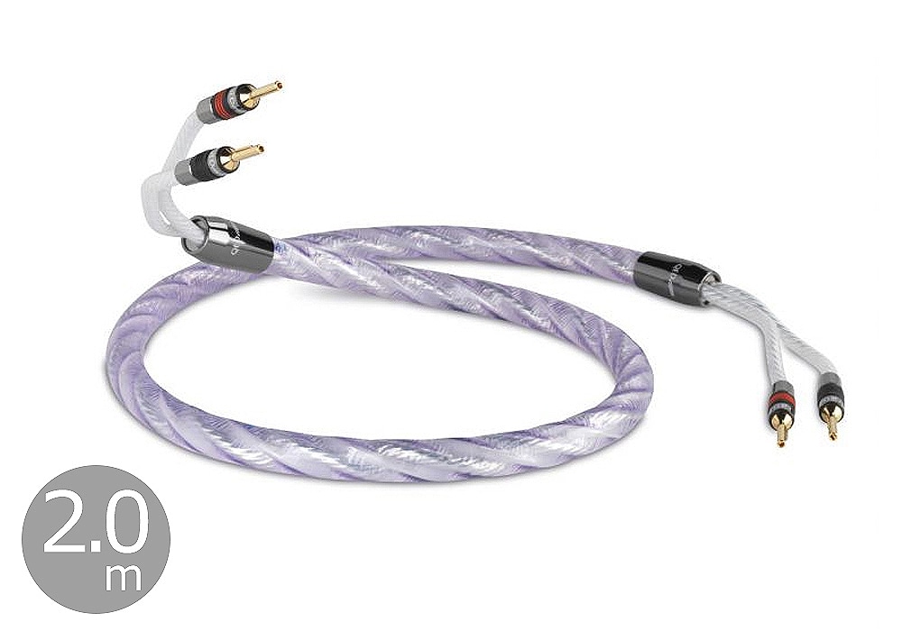 新品】QED Reference Audio RCAケーブル 1.0m（QED reference audio 40 