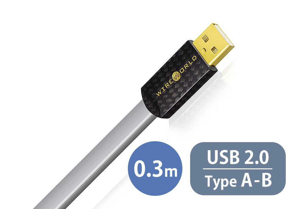 WIREWORLD P2AB/0.3m（USB2.0ケーブル・A-B）＜Platinum Starlight  8＞《e》【メーカー取寄品・納期は確認後ご連絡】 ラインケーブル,USBケーブル,USB2.0対応 オーディオ、ホームシアターの専門店  e.オーディオ逸品館